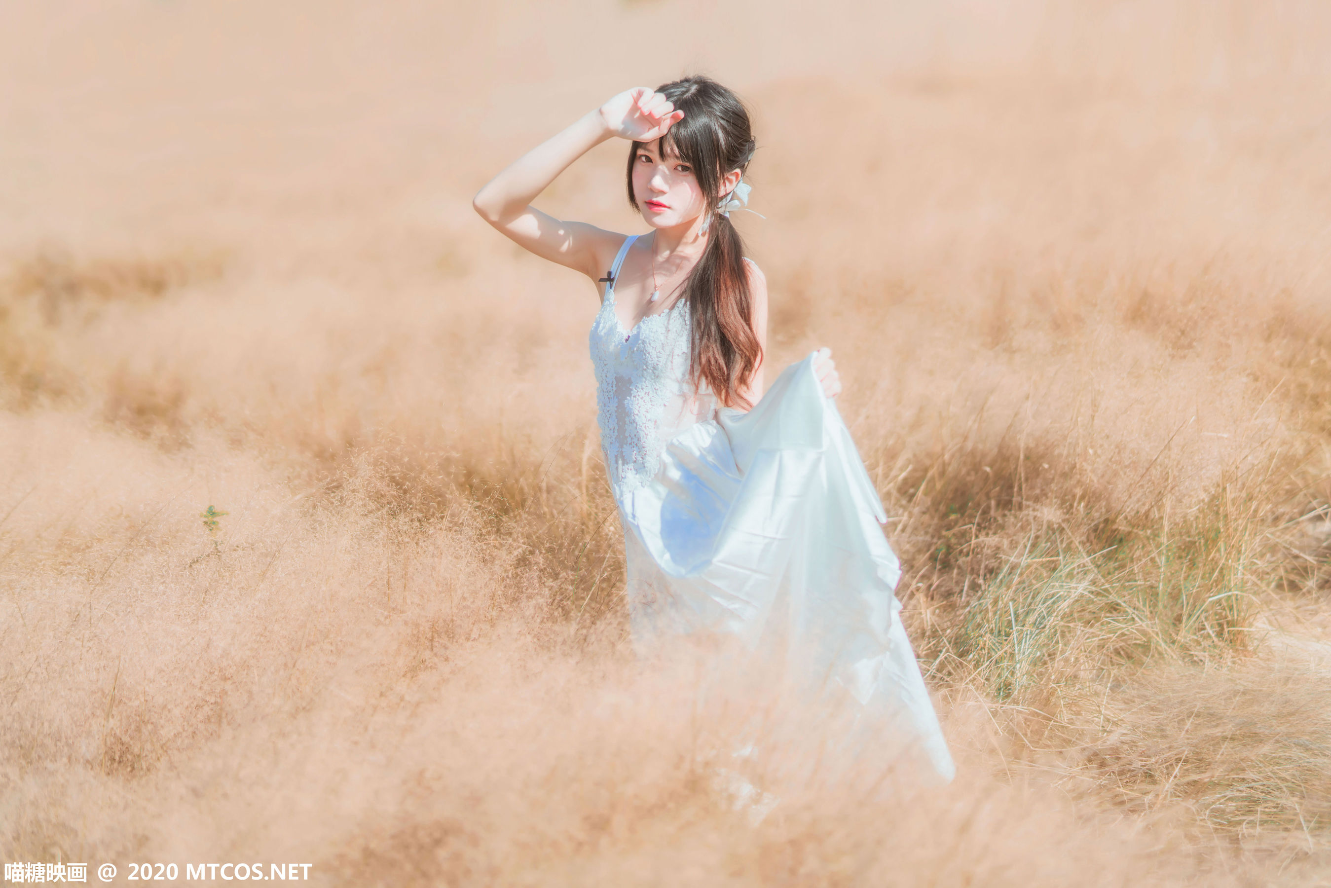 [喵糖映画] VOL.224 桜桃喵 晚秋的原野_第2张