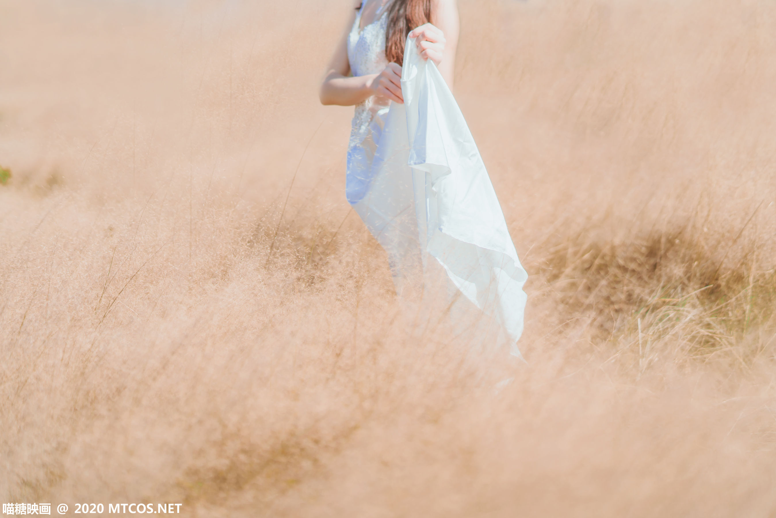 [喵糖映画] VOL.224 桜桃喵 晚秋的原野_第3张