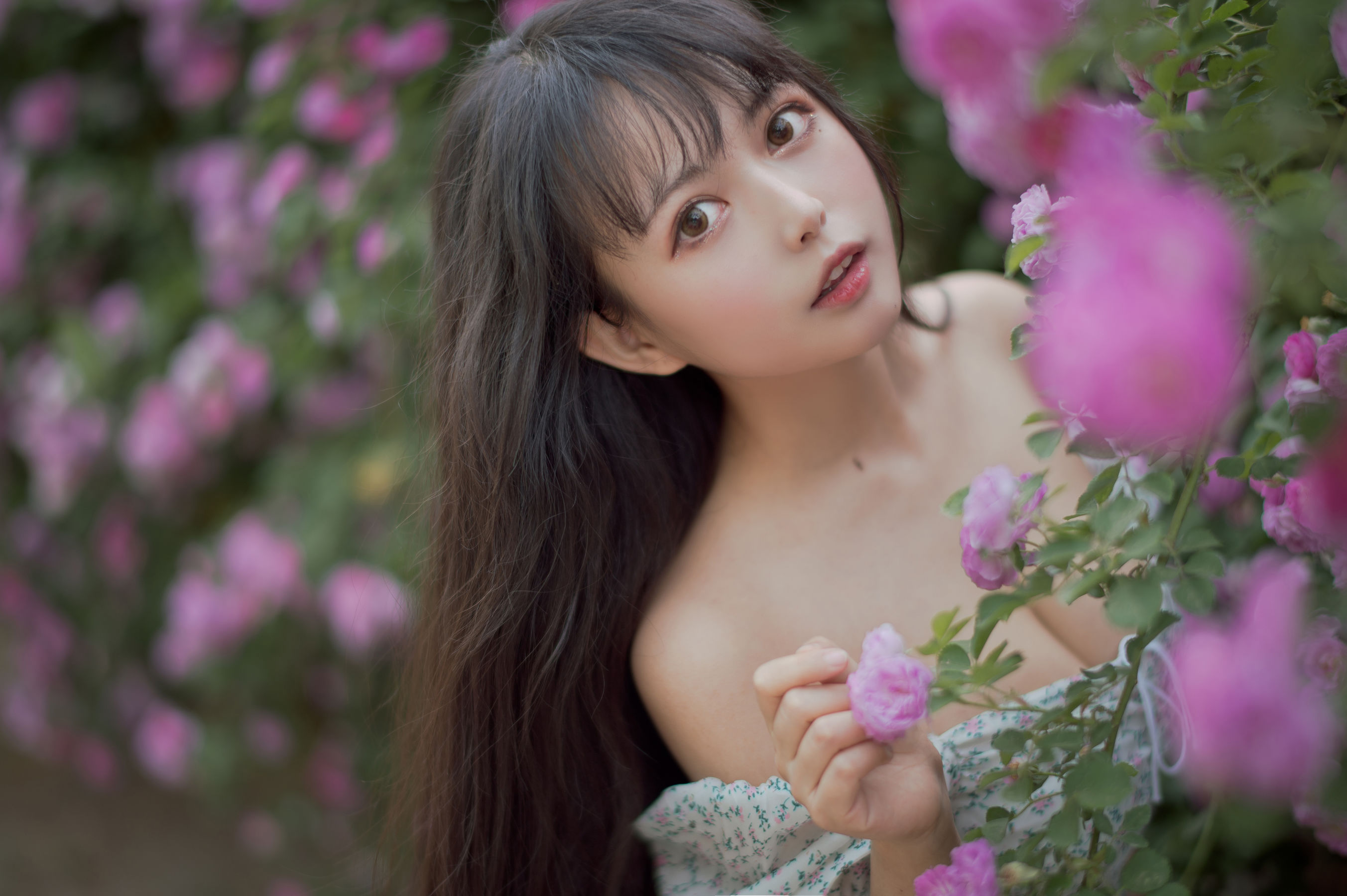 [喵糖映画] VOL.338 黑猫猫OvO 蔷薇少女_第2张