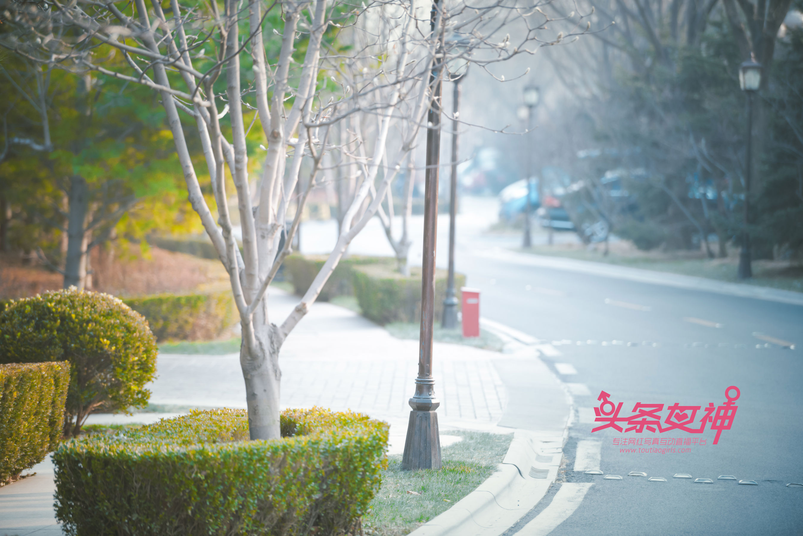 韩夏汐《极致露出》 [头条女神Toutiaogirls]_第1张