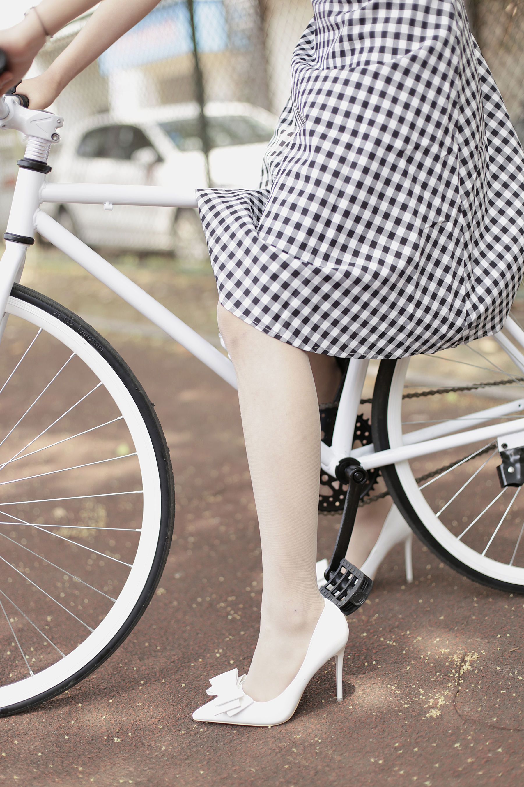 [奈丝] NO.107 蛋白粉 经典怀旧风_第4张