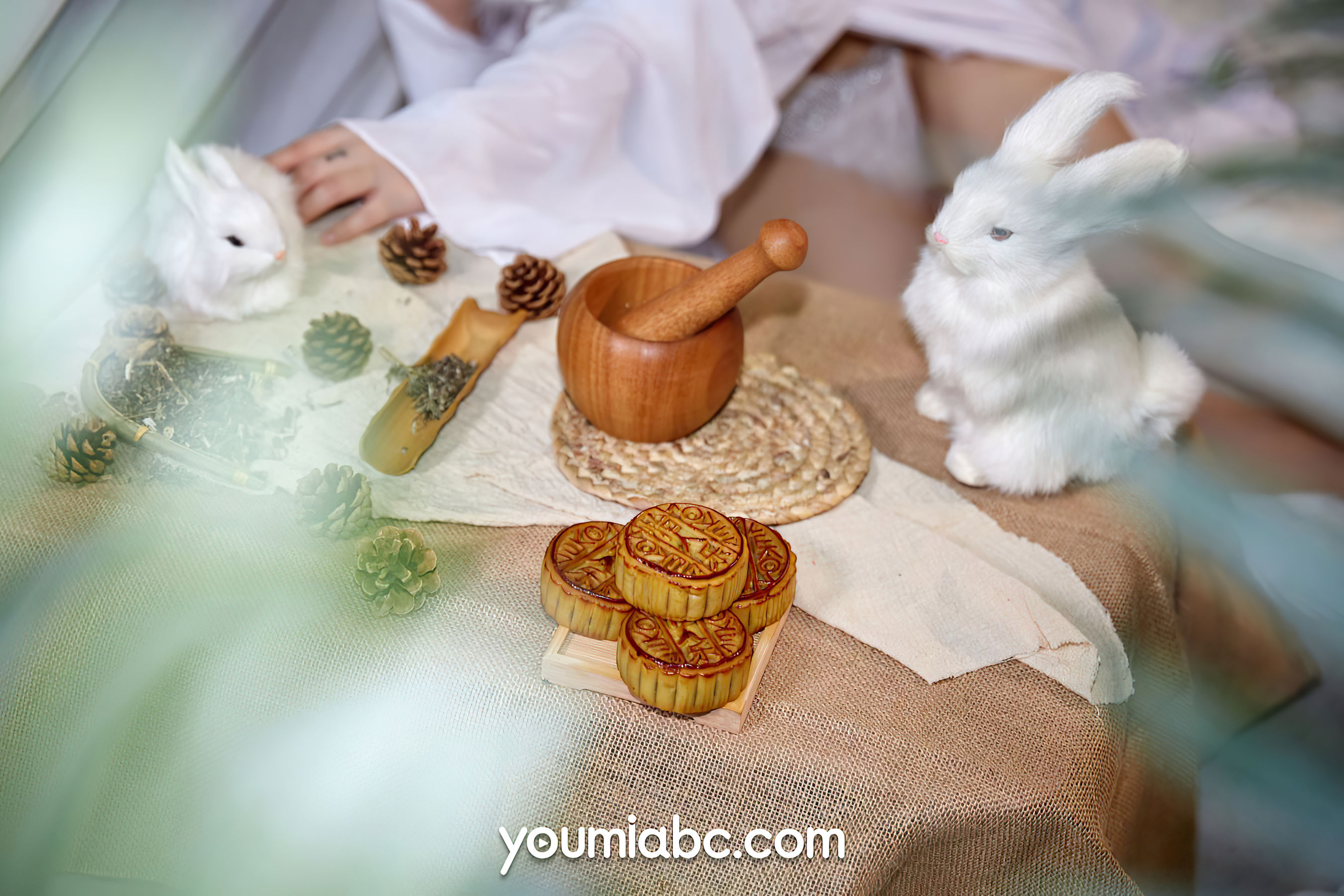 [尤蜜YouMiabc]  尹兒 欲兔东升_第5张