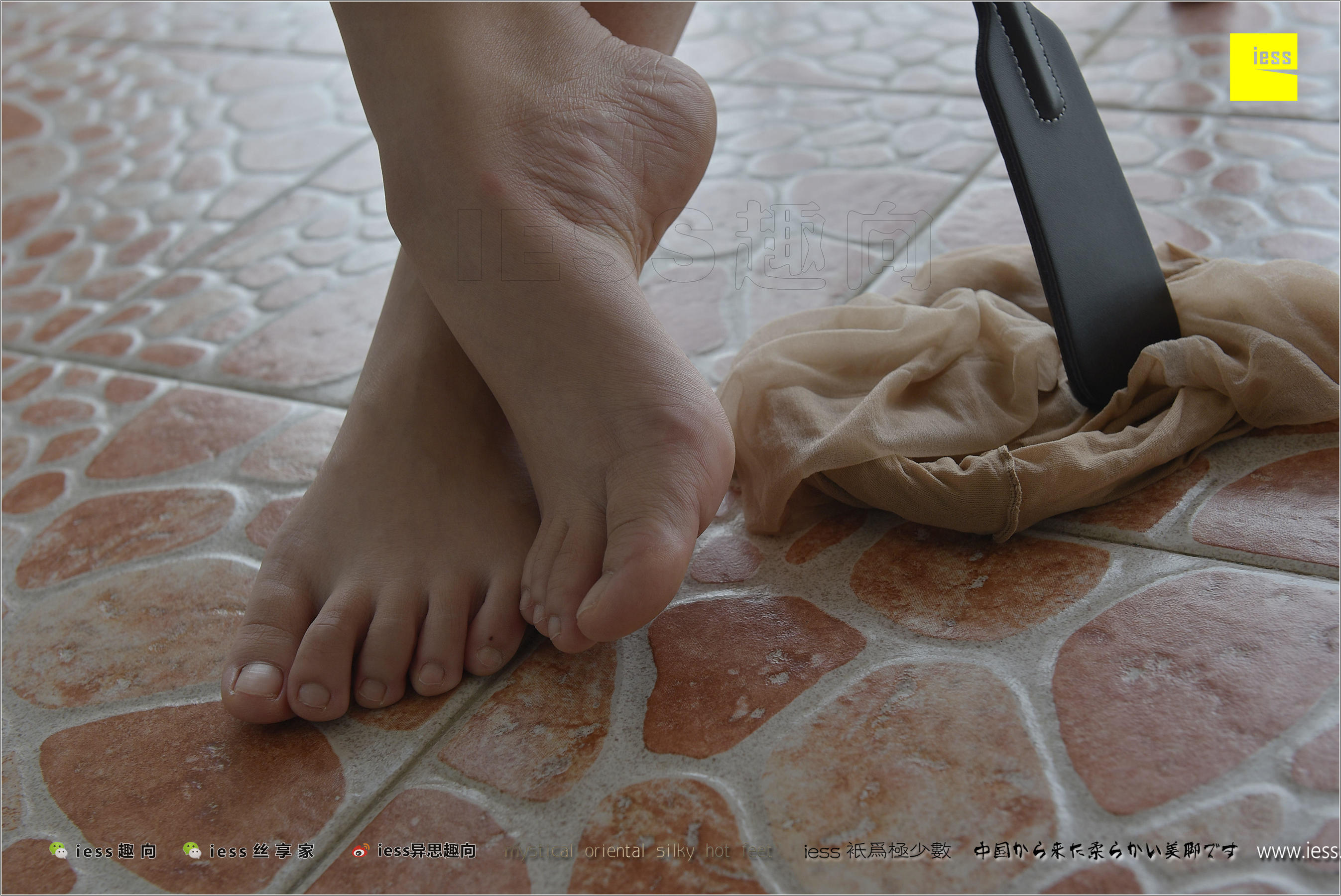 丝足便当184 张馨月 《知足常乐》[IESS异思趣向]_第2张