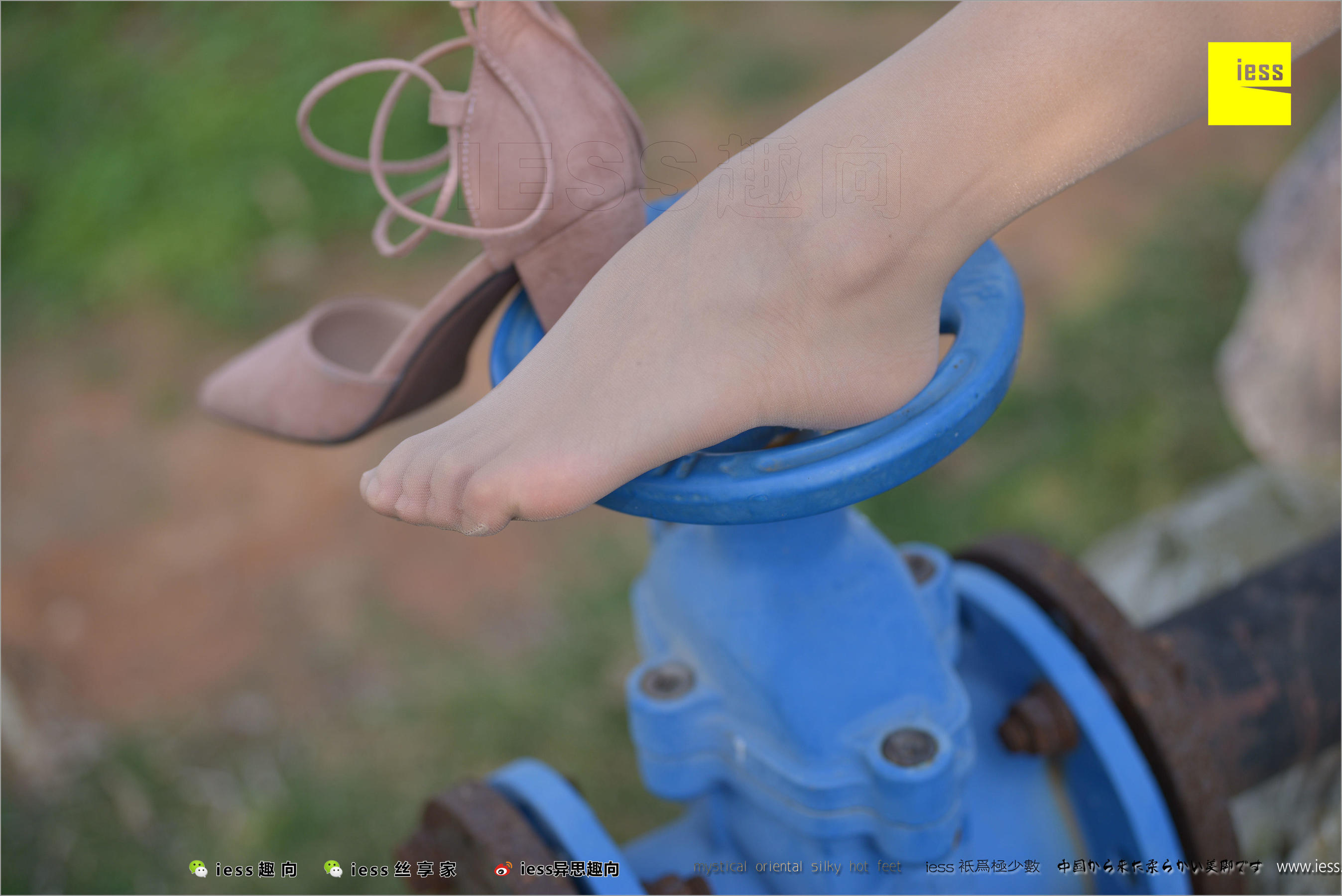 馨月《足鉴》 [异思趣向IESS] 丝足便当215_第1张
