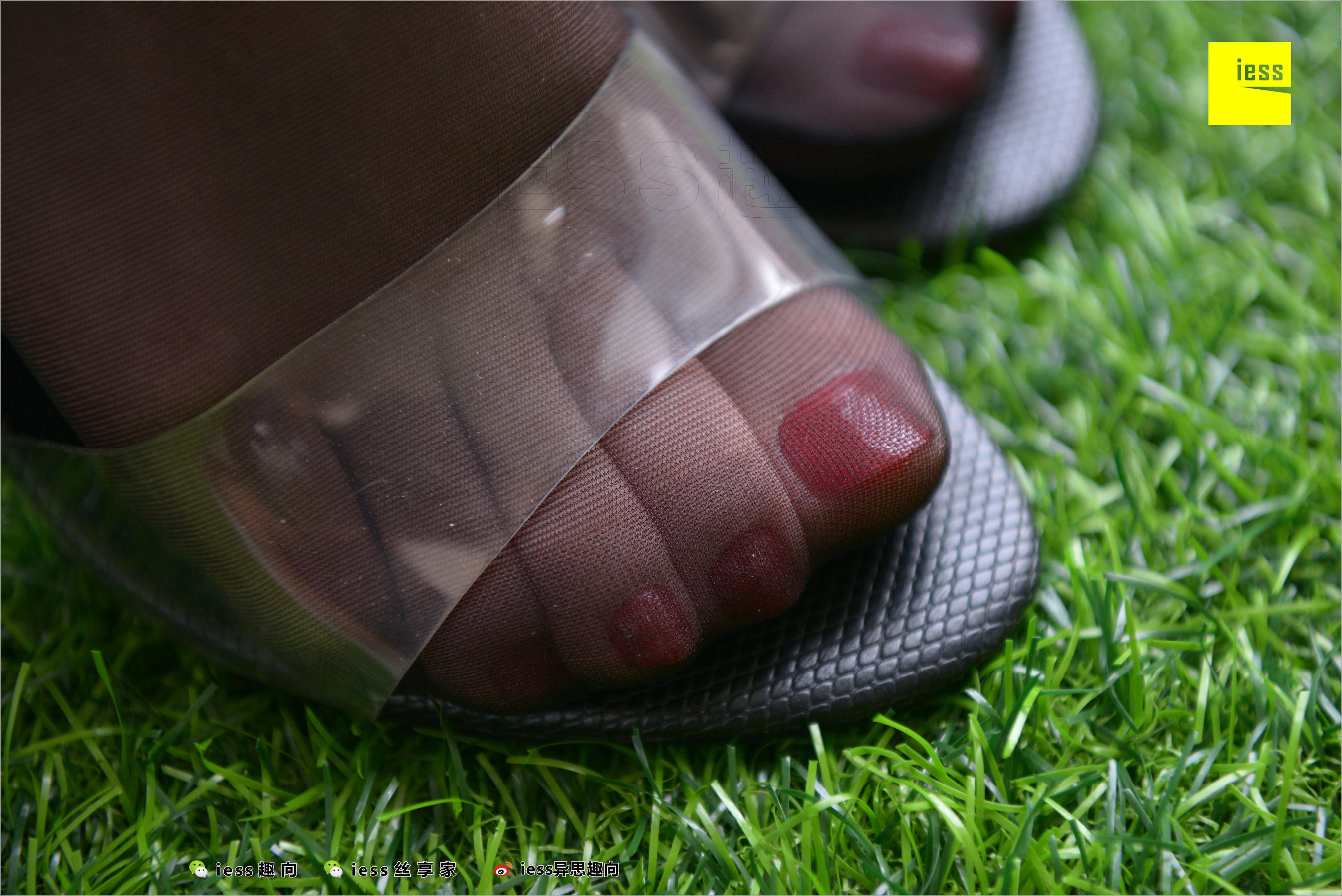 [异思趣向IESS] 丝足便当244 名利姐 《名利姐的黑丝大特写》_第1张