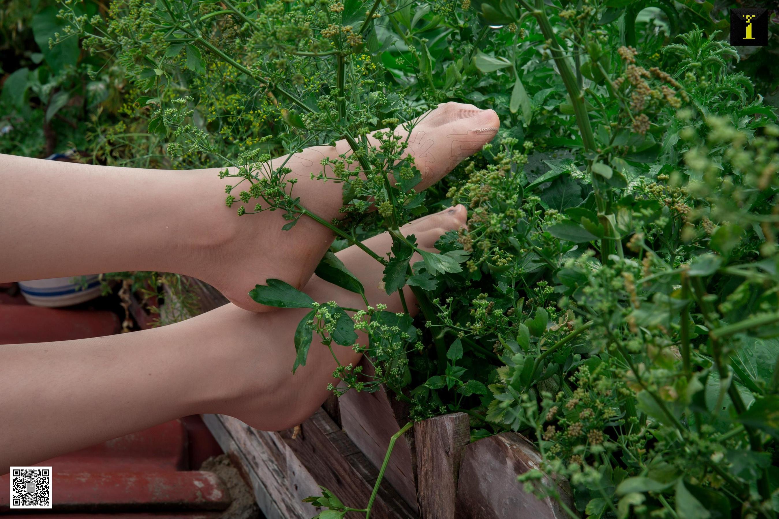 [IESS异思趣向] 模特：九妹 《九妹爬下屋顶后》_第4张