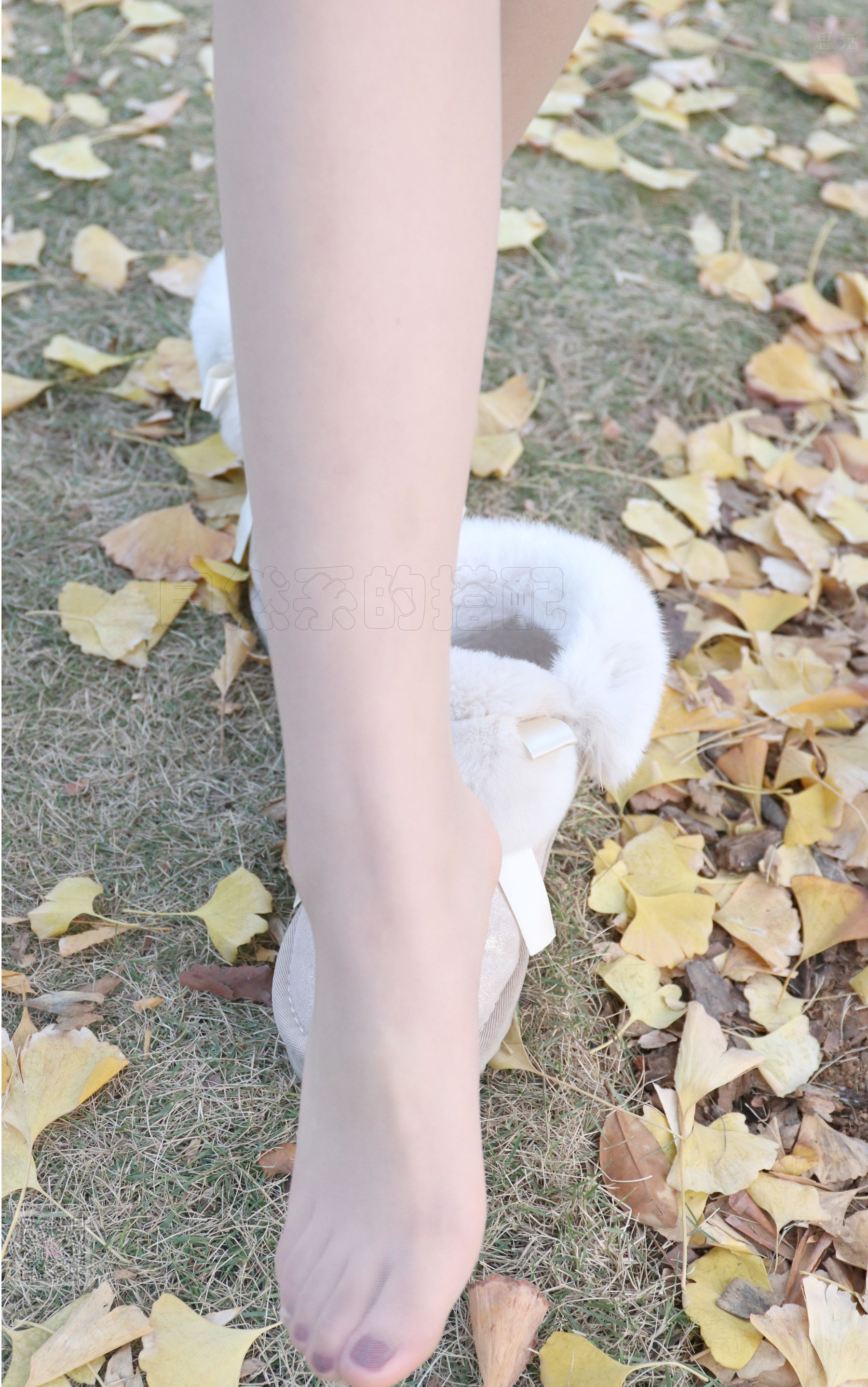 [思话SiHua] SH068 表妹 冬天也总有这样恬静的时光_第2张