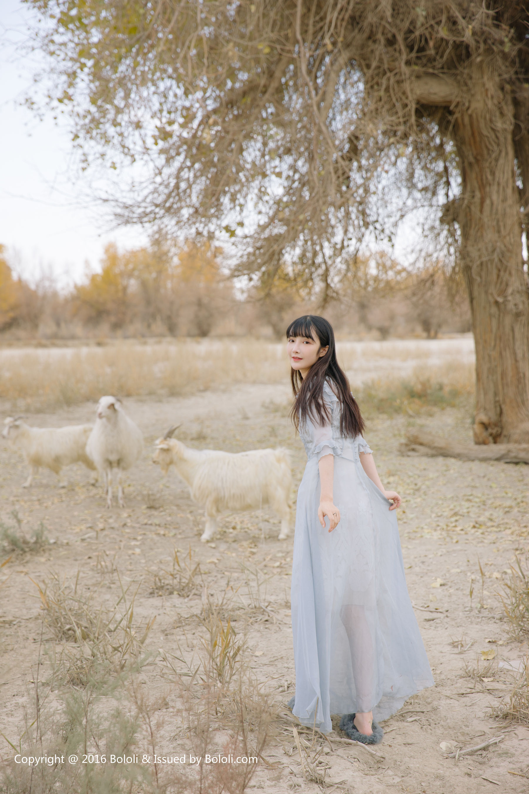 之应《沙漠仙女之应―沙漠之旅》 [Kimoe激萌文化] KIM011_第1张