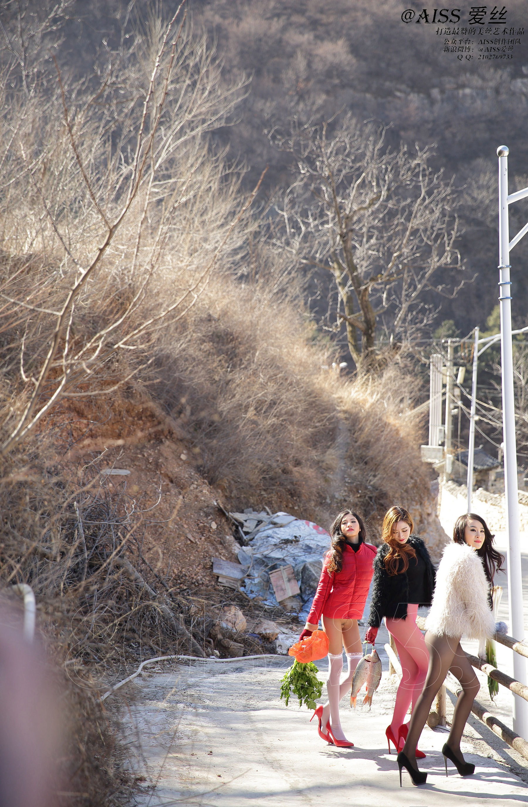 叶子/婧雪/彤彤《2015新春特辑》 [AISS爱丝]_第4张