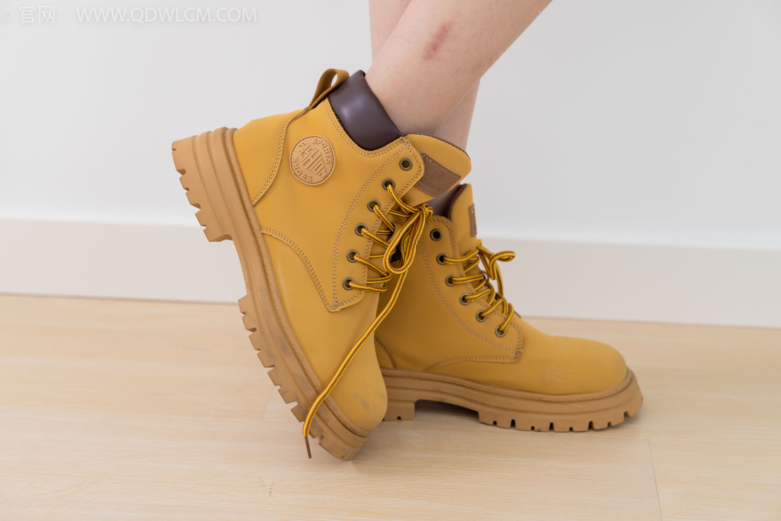 物恋传媒 No.1721 雏菊 - 花开盛放_第1张