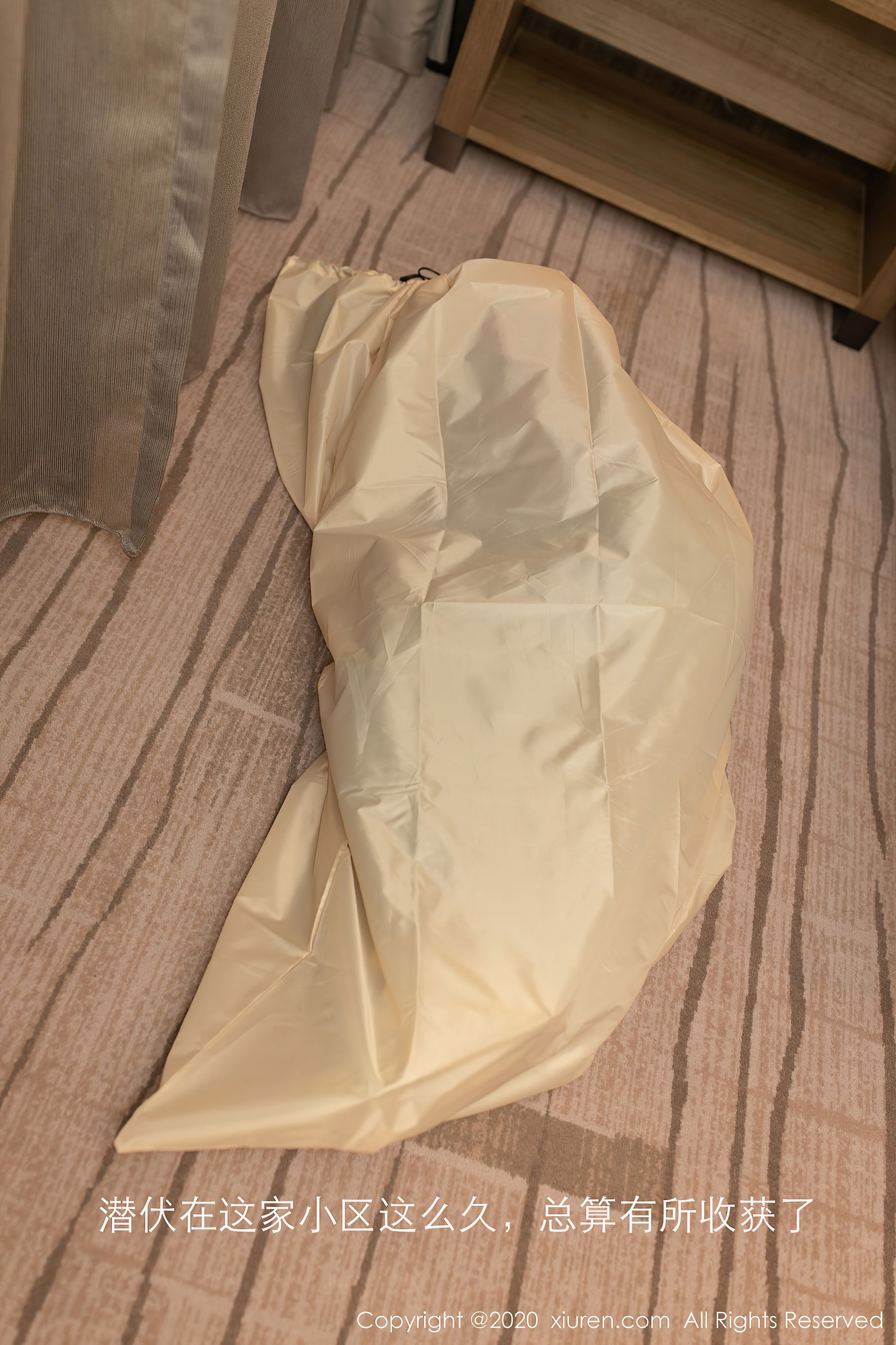 [秀人XiuRen] No.2716 鱼子酱Fish_第1张