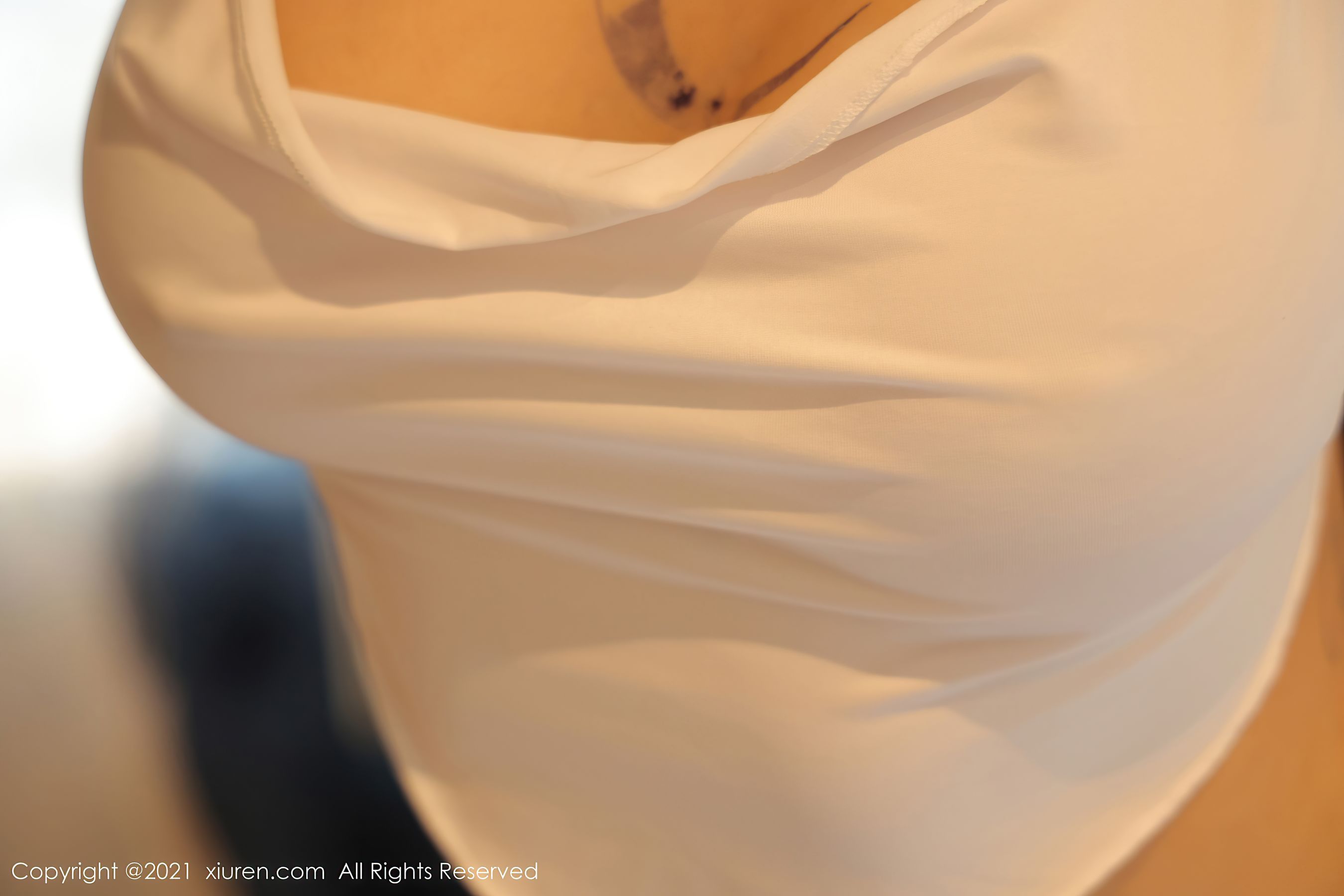 [秀人XiuRen] No.3759 文静儿_第2张