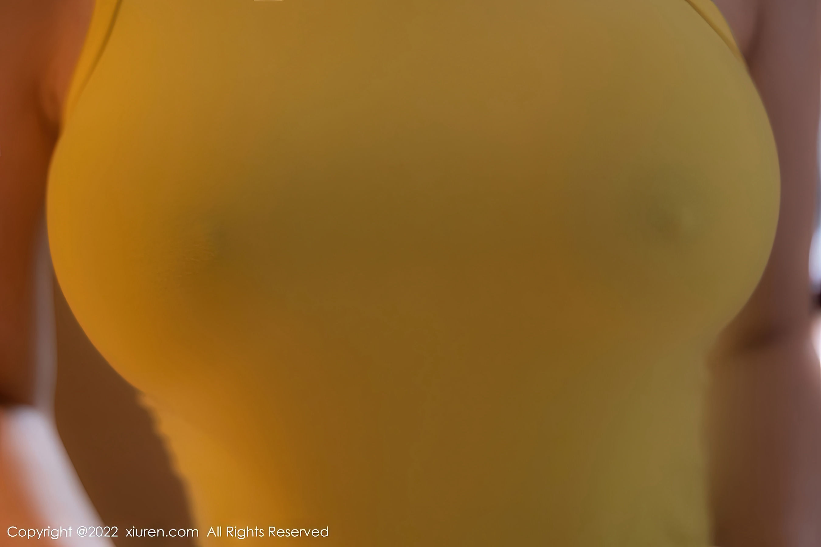 [秀人XiuRen] No.5843 顾乔楠Cora_第1张