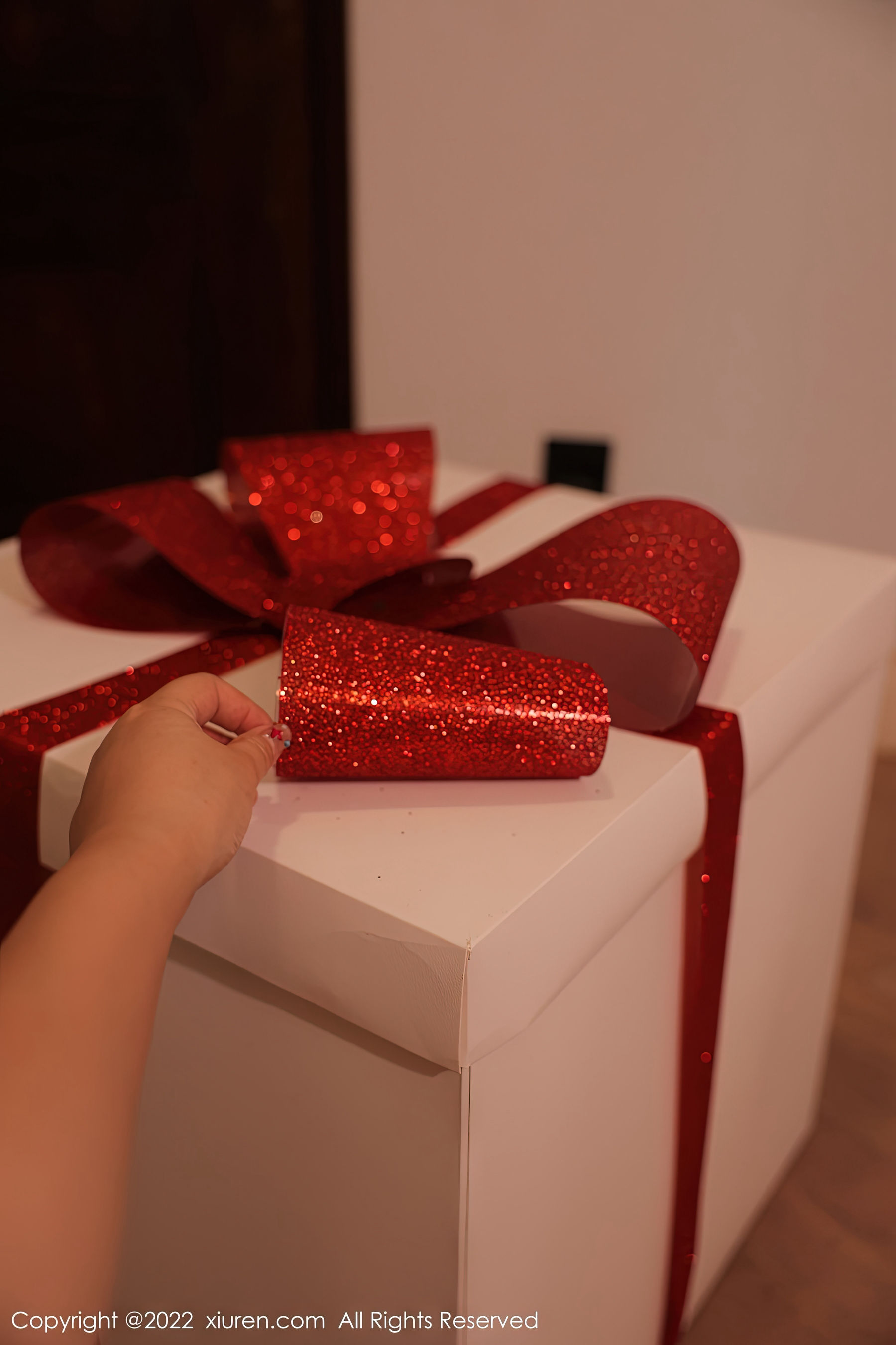 [秀人XiuRen] No.6031 tina_甜仔_第3张