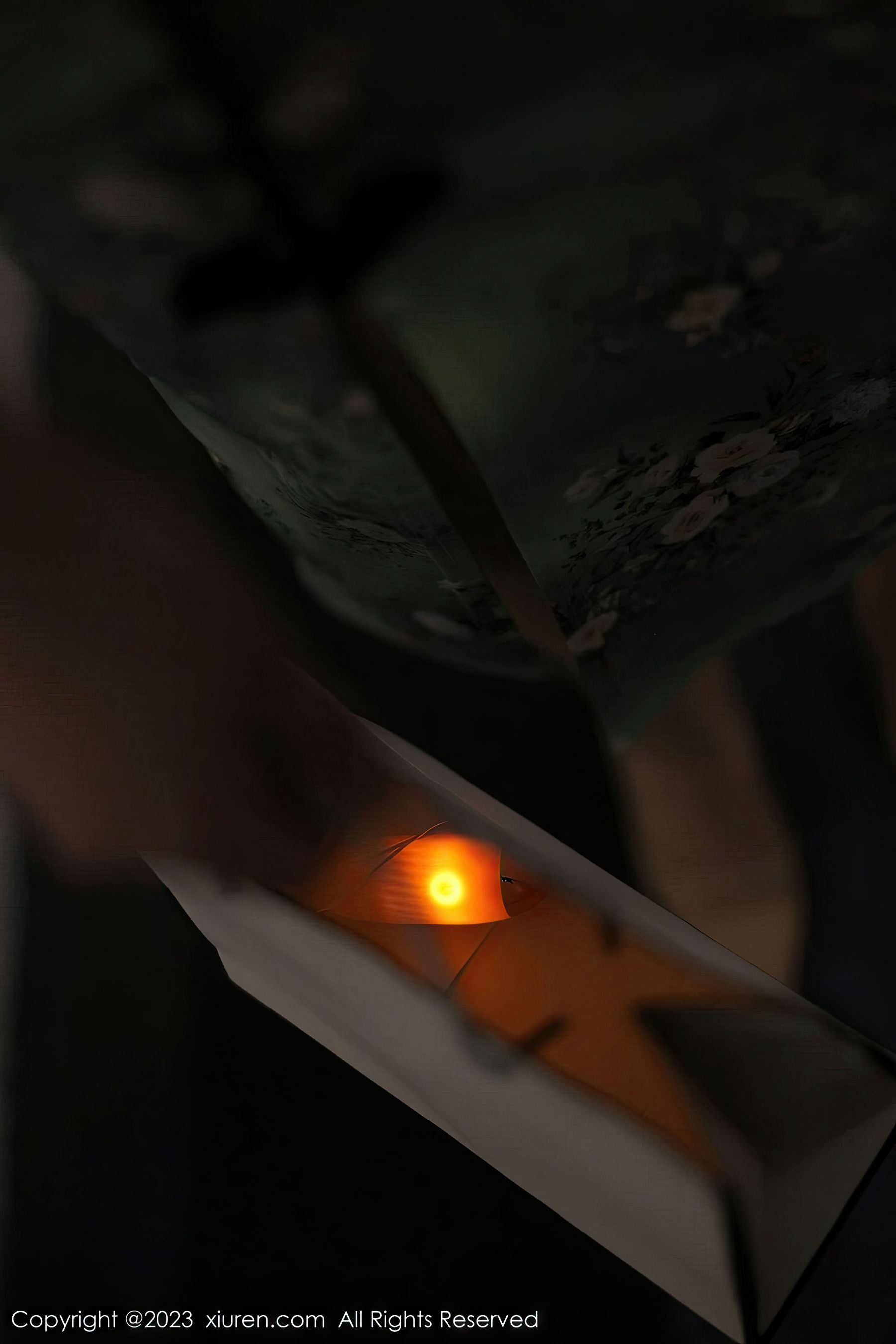 [秀人XiuRen] 2023.03.24 No.6464 薇薇_第4张