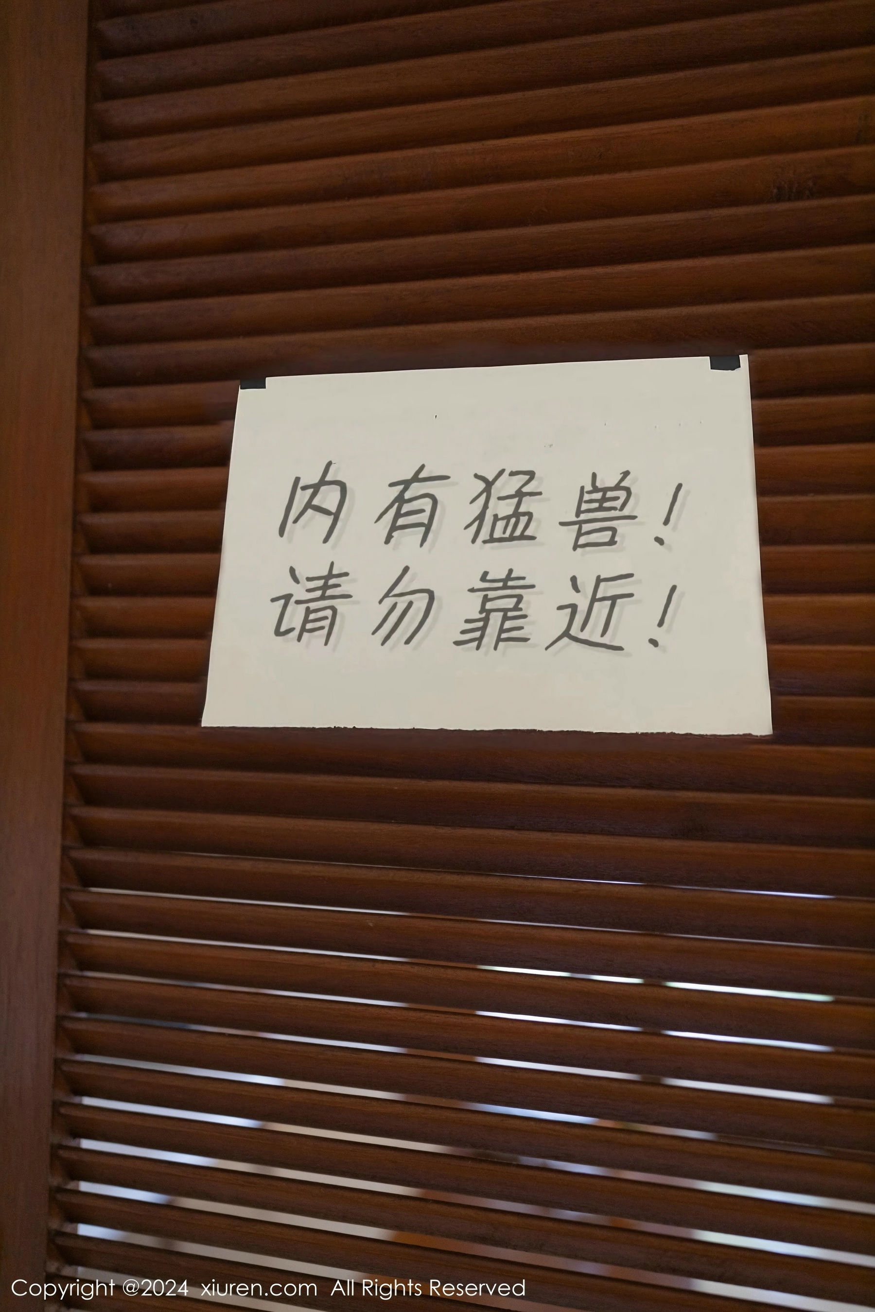 [秀人XiuRen] 2024.01.26 No.8029 幼幼_第1张