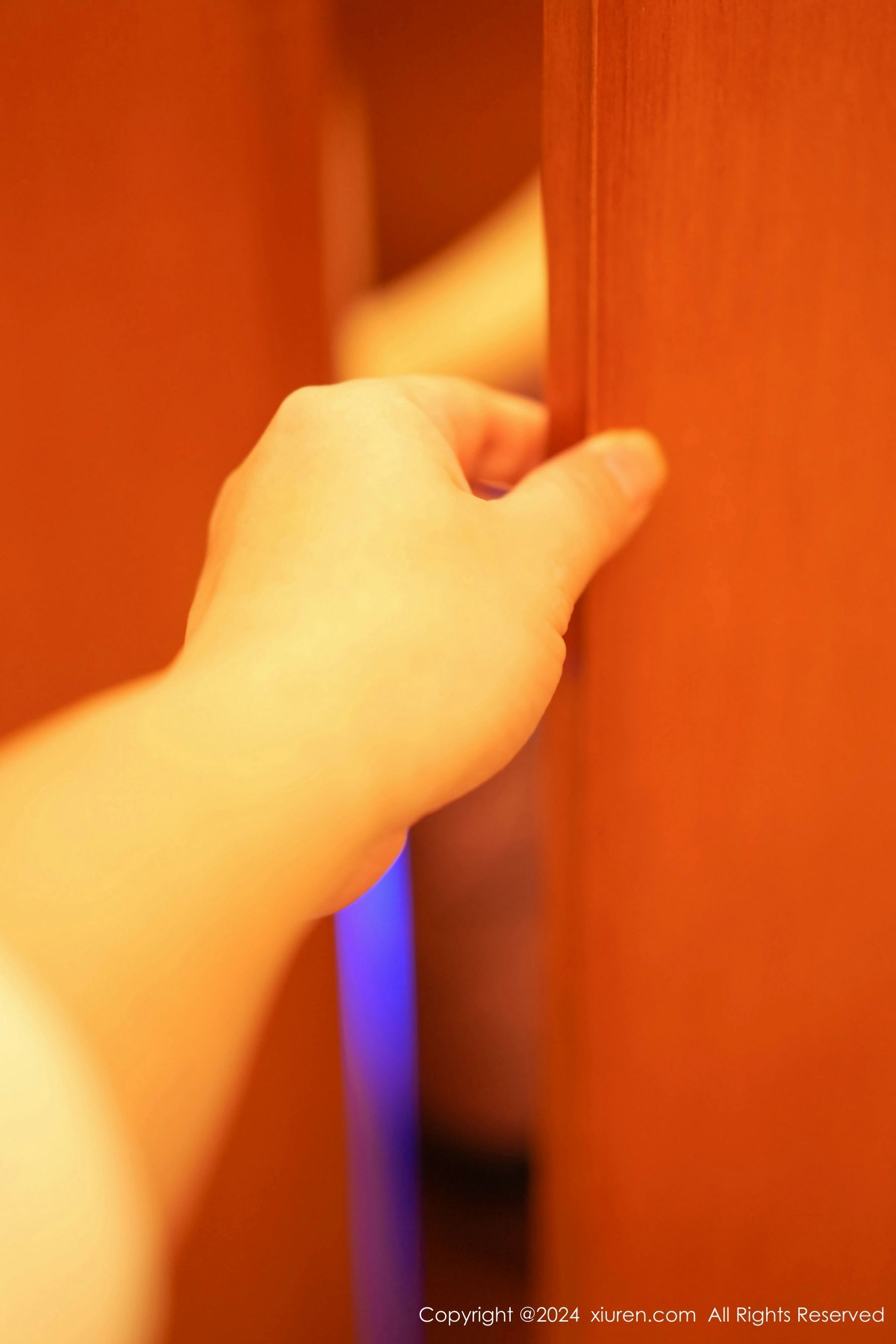 [秀人XiuRen] 2024.02.02 No.8054 谭小灵_第2张