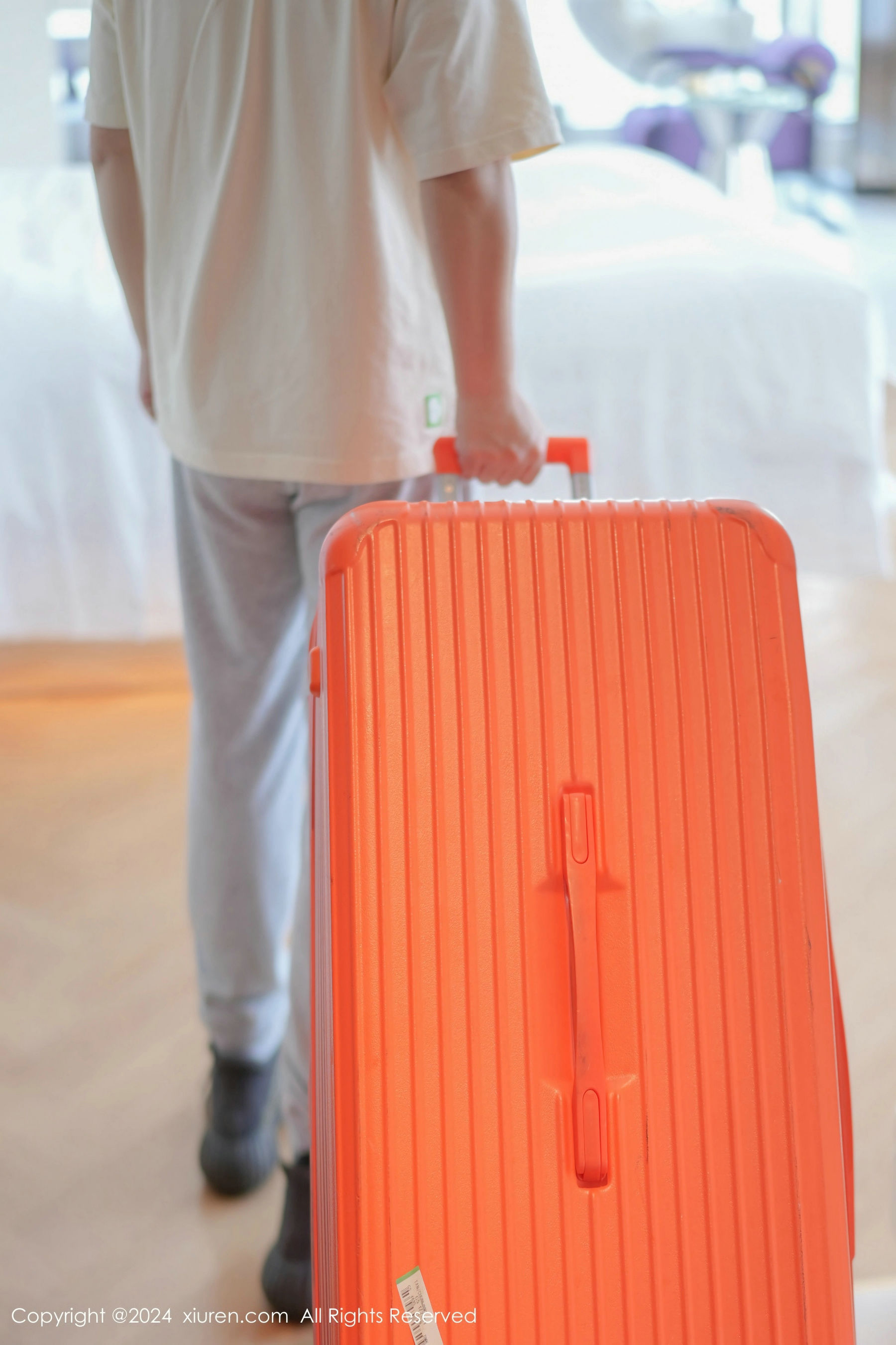 [秀人XiuRen] 2024.05.09 No.8507 鱼尾fish_第1张