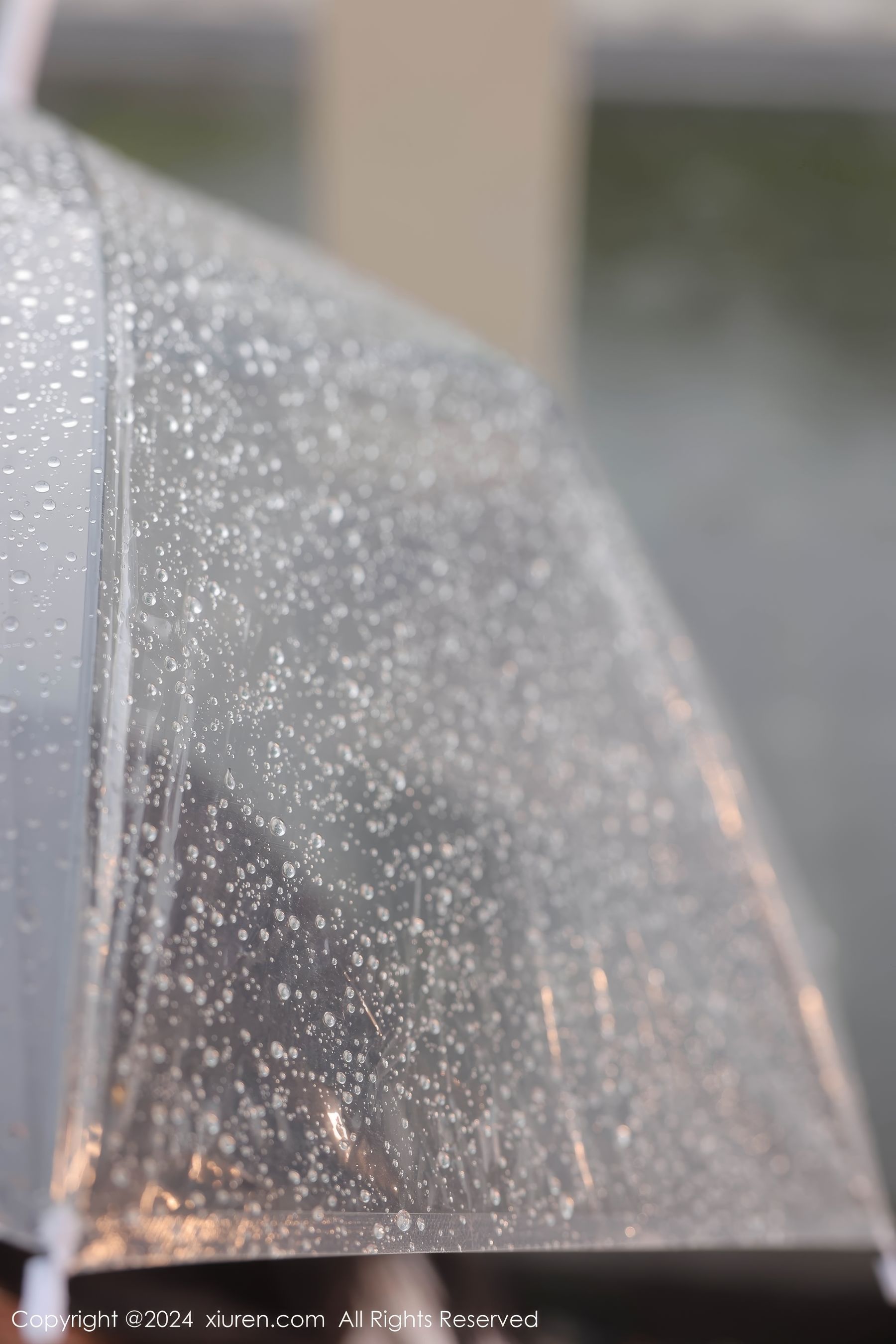 [秀人XiuRen] 2024.07.19 No.8885 桃妖夭_第2张