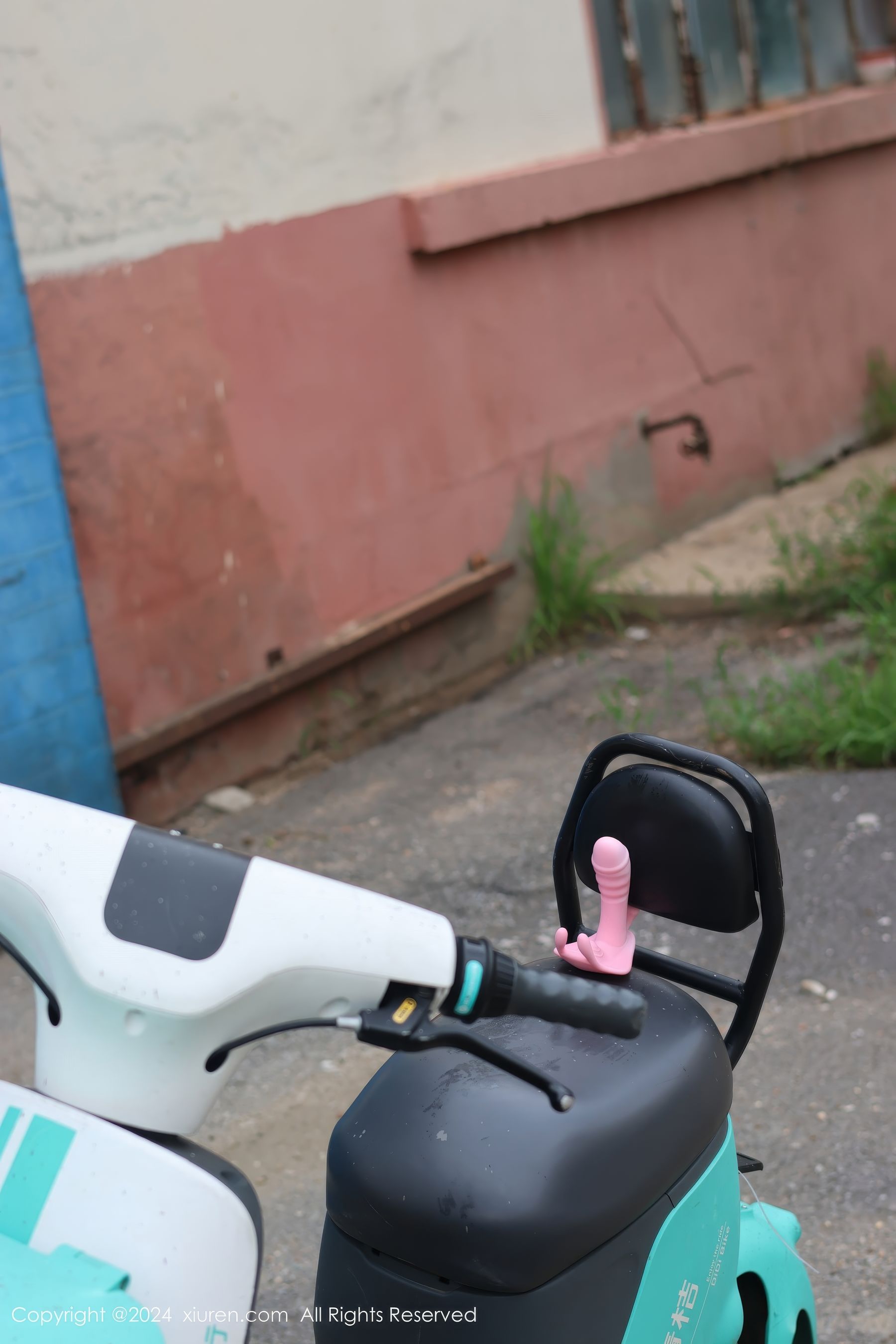 [秀人XiuRen] 2024.08.16 No.9024 小薯条nienie_第1张