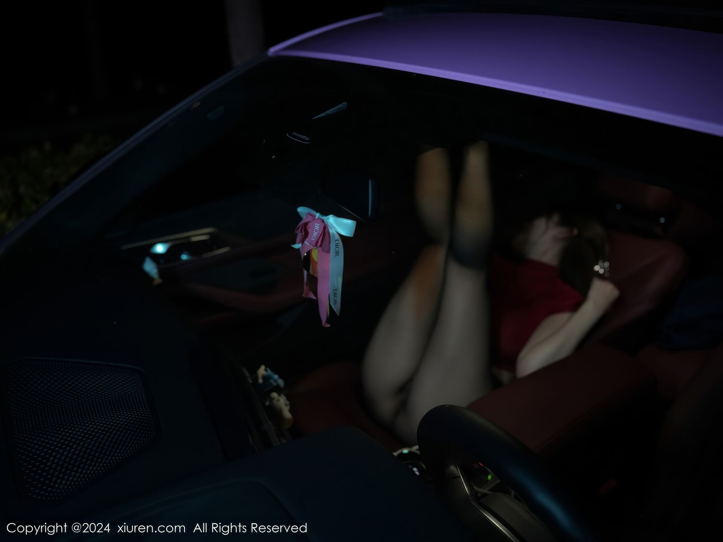 [秀人XiuRen] 2024.12.06 No.9558 甜妮_第2张