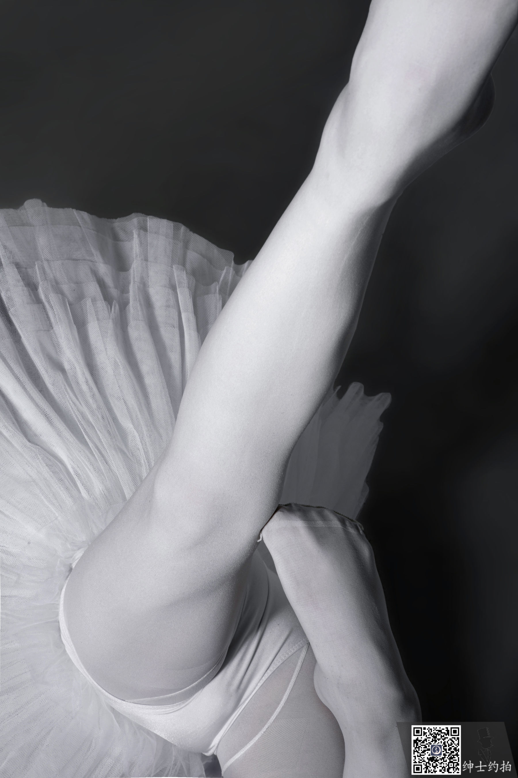 SHENSHI绅士 - SS164 琪琪_第5张