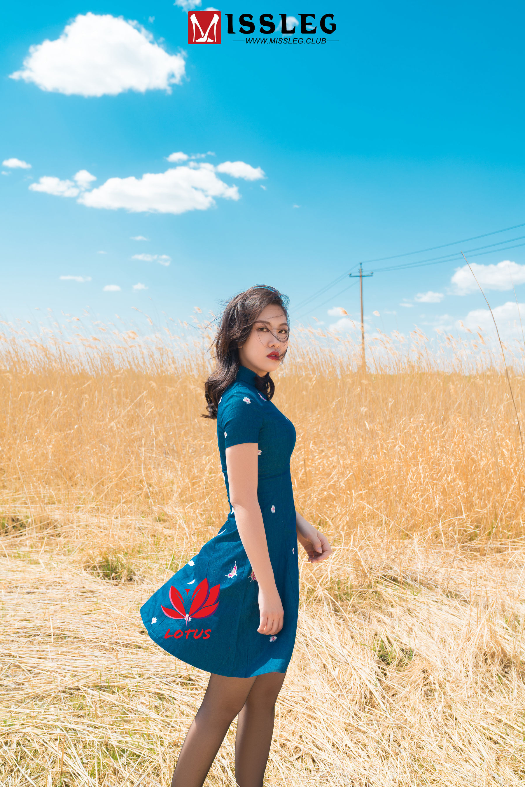 [蜜丝MISSLEG] M013 罗兰_第2张