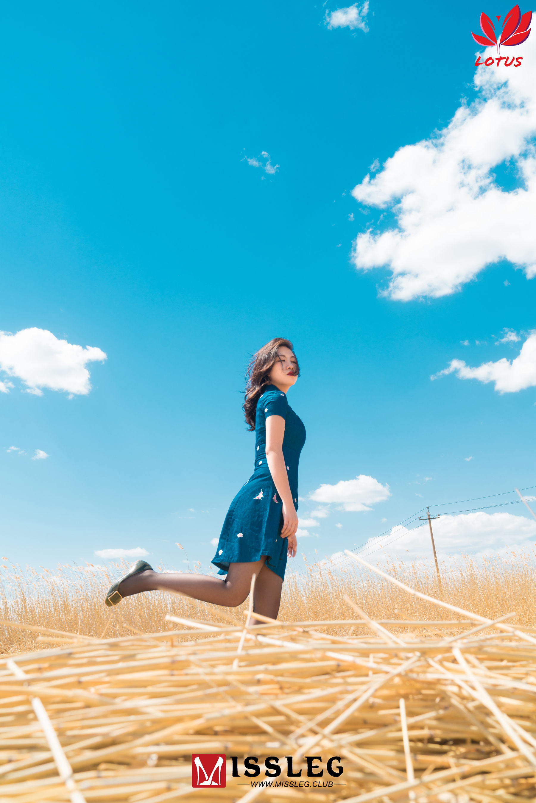 [蜜丝MISSLEG] M013 罗兰_第4张